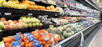 Free Shipping on Orders Over $100